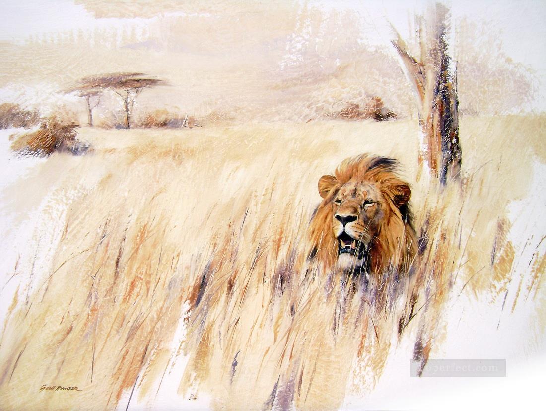 lion dans l’herbe 2 Peintures à l'huile